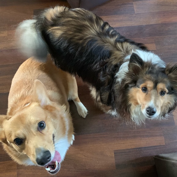 Meet your Posher, Jenn - Picture 3 of 8